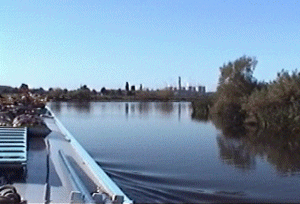 Trent2.gif (38806 bytes)