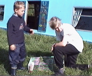 admirespike.gif (59227 bytes)