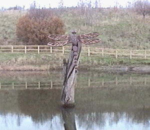 anderton1.gif (59949 bytes)