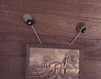 bees1.gif (24417 bytes)