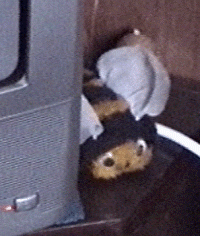 bees10.gif (37916 bytes)
