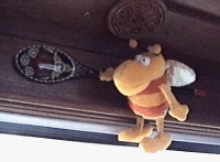 bees8.gif (20242 bytes)