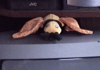 bees9.gif (19495 bytes)