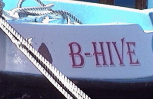 bow1.gif (39547 bytes)