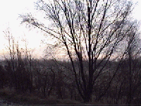 bridgewater13.gif (24550 bytes)