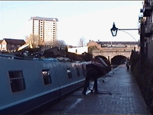 brum17.gif (41037 bytes)