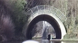 brum19.gif (45485 bytes)