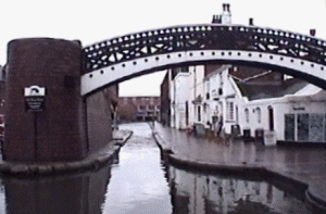 brum49.gif (43478 bytes)