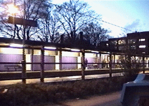 brum56.gif (51012 bytes)