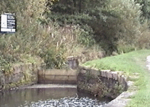 bugsworth10.gif (60208 bytes)