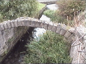 bugsworth4.gif (68358 bytes)