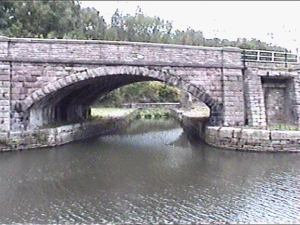 bugsworth7.gif (55054 bytes)