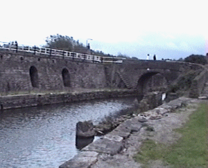 bugsworth8.gif (45514 bytes)