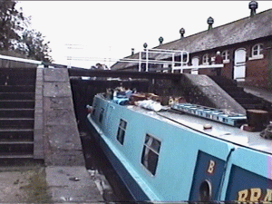 bunbury2.gif (47134 bytes)