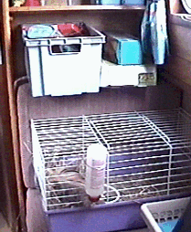 cabin7.gif (40739 bytes)