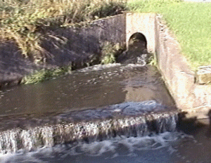 caldon13.gif (60464 bytes)