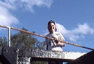 caldon16.gif (43580 bytes)