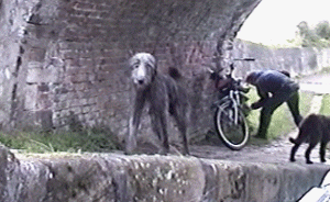 caldon26.gif (49994 bytes)