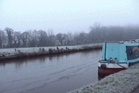 cc3.gif (17356 bytes)