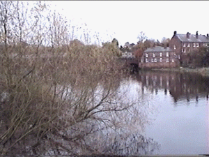 chester11.gif (51436 bytes)