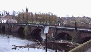 chester12.gif (34134 bytes)