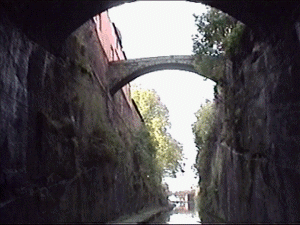 chester2.gif (45848 bytes)