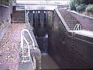 chester25.gif (62006 bytes)