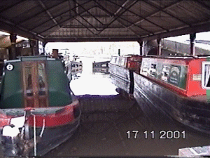 chester29.gif (50340 bytes)
