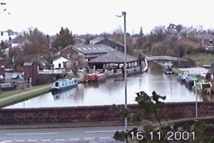chester4.gif (42612 bytes)