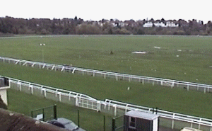 chester6.gif (35758 bytes)