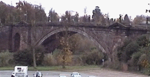 chester8.gif (33814 bytes)