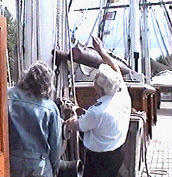 csalan.gif (51435 bytes)