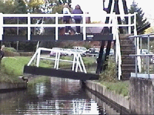 fosters11.gif (58642 bytes)