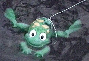 frog2.gif (56584 bytes)