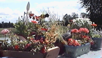 garden.gif (53061 bytes)