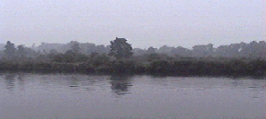 gunthorpe4.gif (24299 bytes)