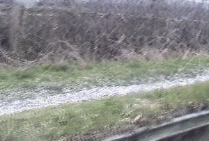hail.gif (52847 bytes)