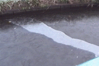 ice5.gif (17703 bytes)
