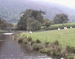 llan12.gif (53368 bytes)