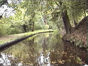 llan18.gif (68460 bytes)