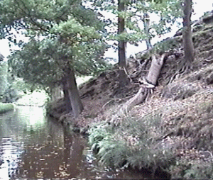 llan19.gif (76843 bytes)