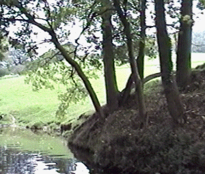 llan20.gif (67391 bytes)