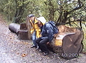 llan28.gif (67291 bytes)