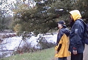 llan31.gif (57998 bytes)