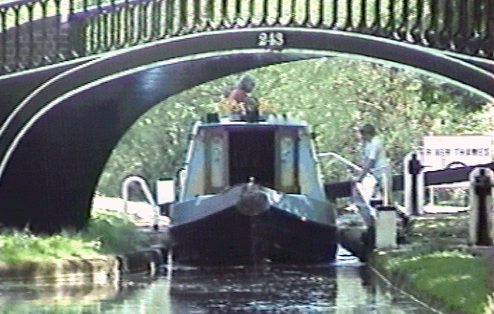 louseboat.gif (251817 bytes)