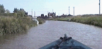 mlsl.gif (36167 bytes)