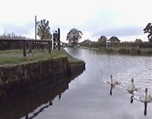 monty1.gif (41866 bytes)