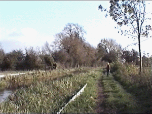 monty7.gif (49480 bytes)