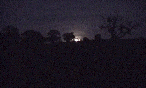 moonrise.gif (28945 bytes)