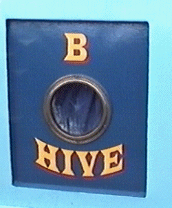 name.gif (47074 bytes)